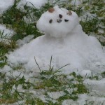 The little snowman...